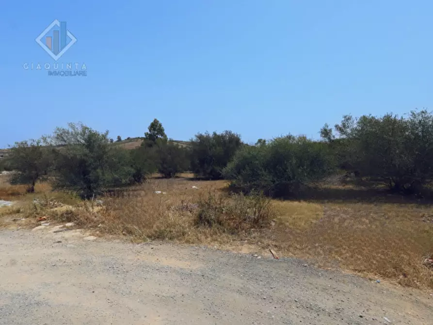 Immagine 8 di Terreno in vendita  in C.DA ALBANELLO SNC. a Palagonia