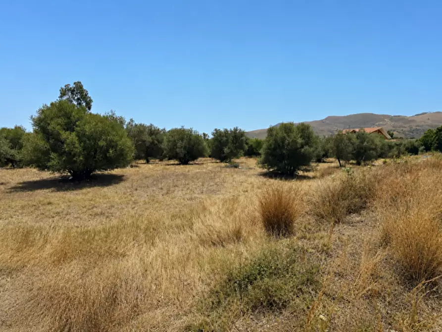 Immagine 8 di Terreno in vendita  in C.DA ALBANELLO SNC. a Palagonia