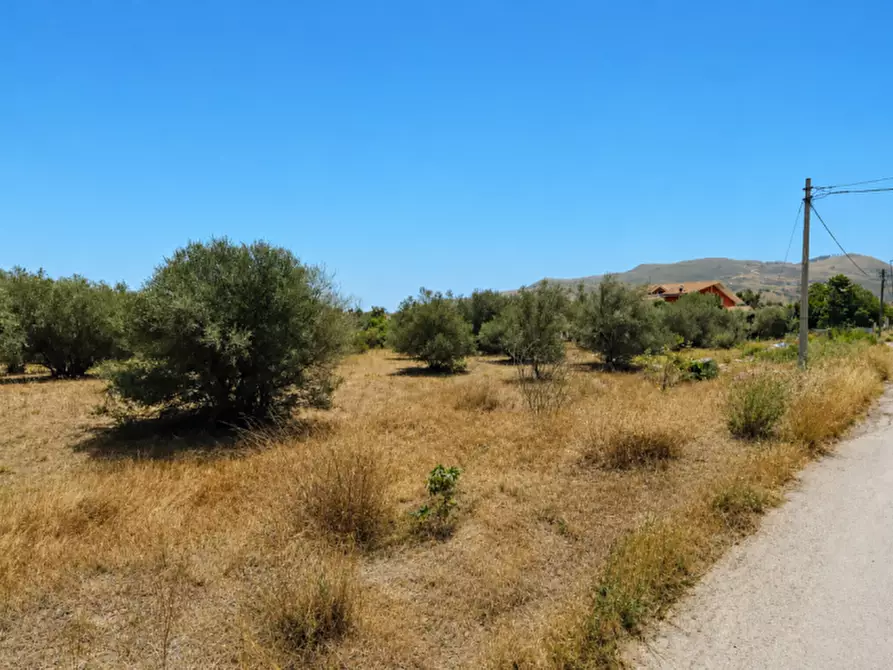 Immagine 9 di Terreno in vendita  in C.DA ALBANELLO SNC. a Palagonia