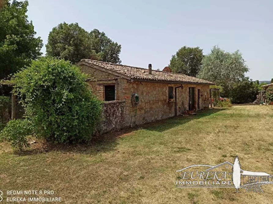 Immagine 21 di Rustico / casale in vendita  in orvieto a Orvieto