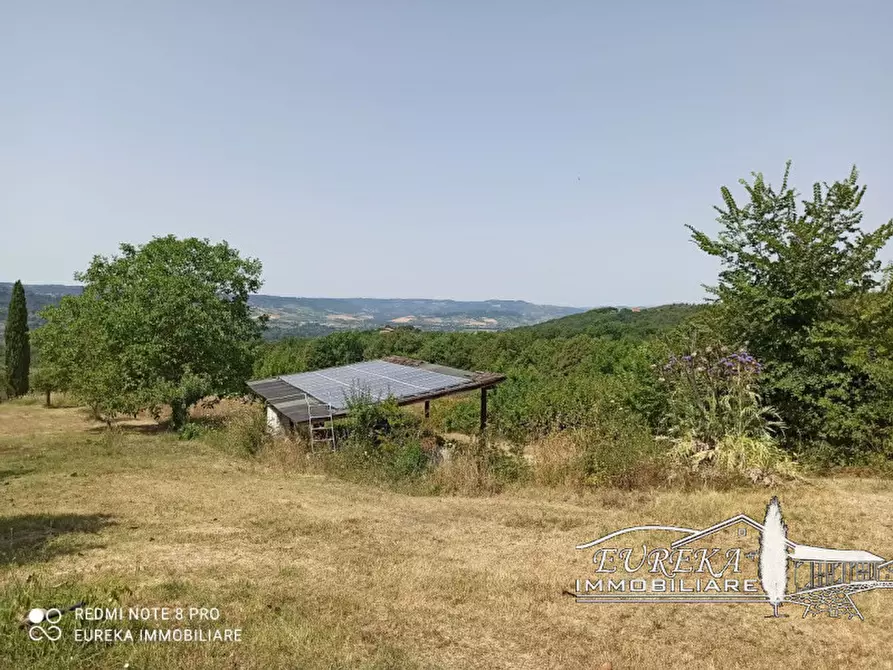 Immagine 24 di Rustico / casale in vendita  in orvieto a Orvieto