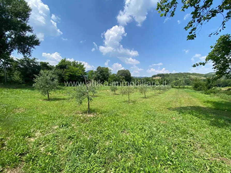 Immagine 1 di Terreno in vendita  in Via Giare a Baone