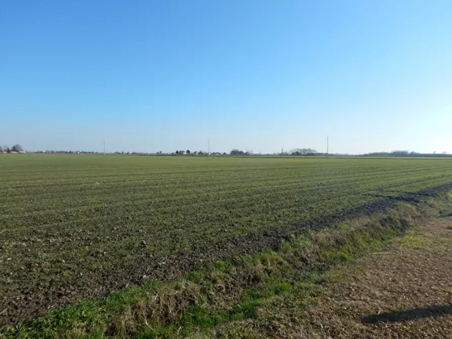 Immagine 1 di Terreno in vendita  in VIA DEGLI OLMI a Venezia