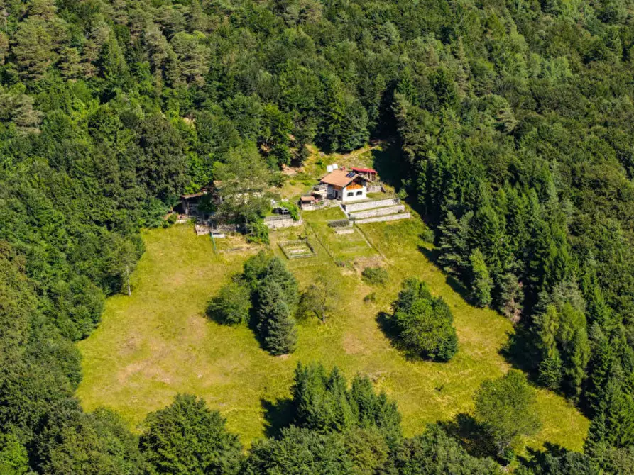 Immagine 16 di Rustico / casale in vendita  in LOCALITA IRON a Tre Ville