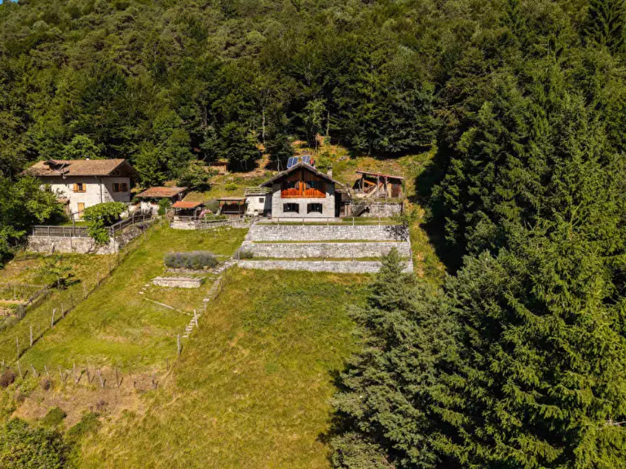 Immagine 17 di Rustico / casale in vendita  in LOCALITA IRON a Tre Ville