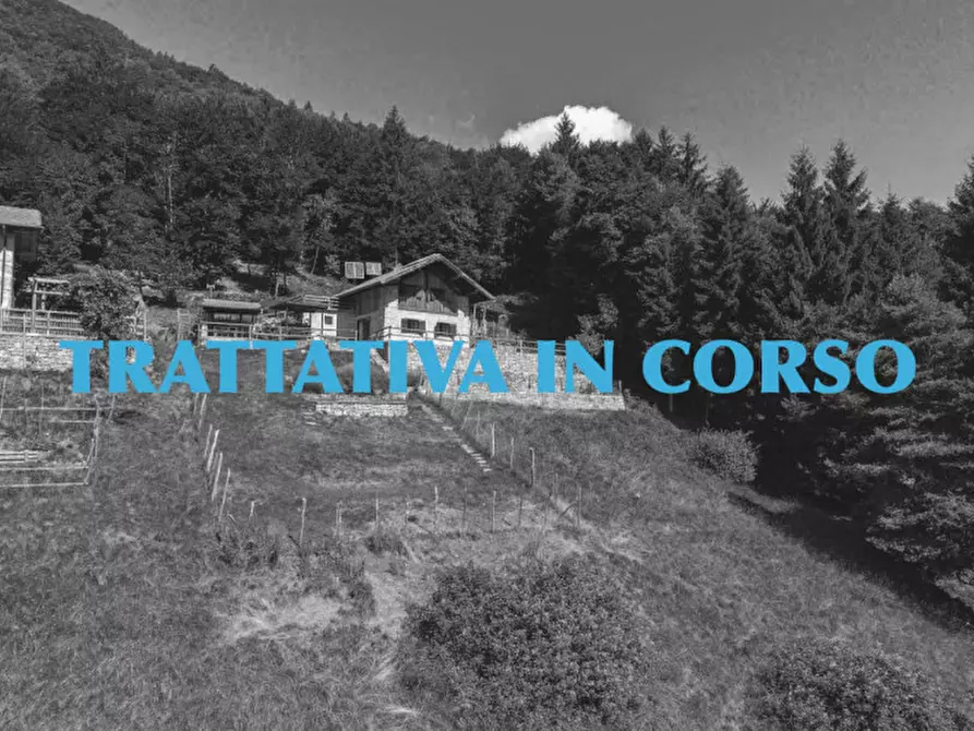 Immagine 2 di Rustico / casale in vendita  in LOCALITA IRON a Tre Ville