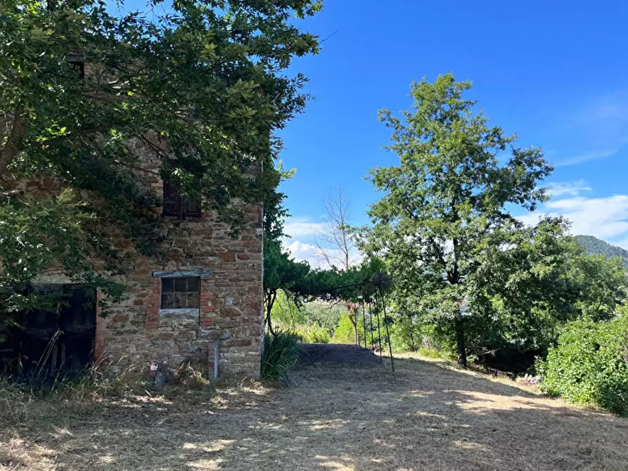 Immagine 1 di Rustico / casale in vendita  in Loc. Campello a Valmozzola