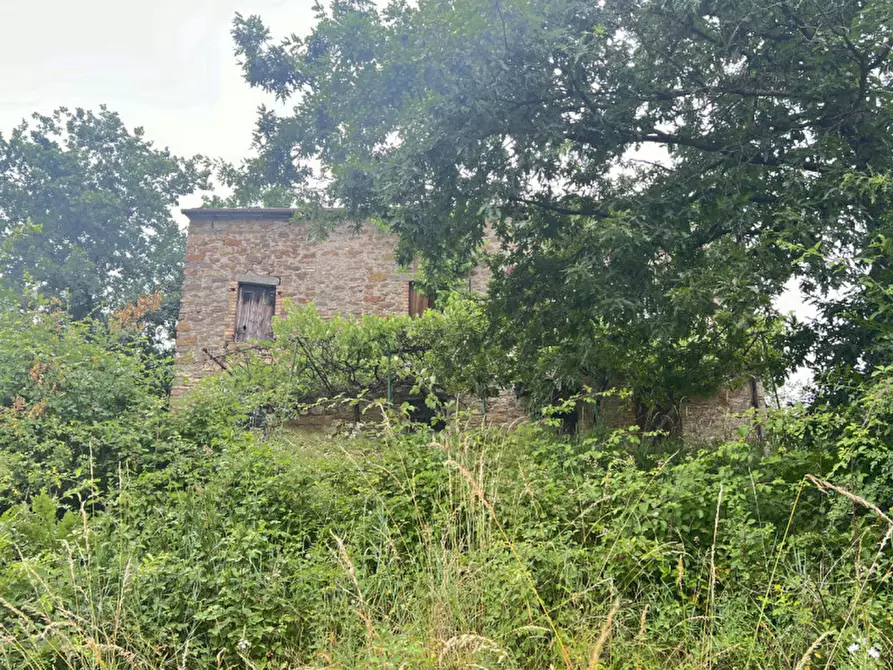 Immagine 21 di Rustico / casale in vendita  in Loc. Campello a Terenzo