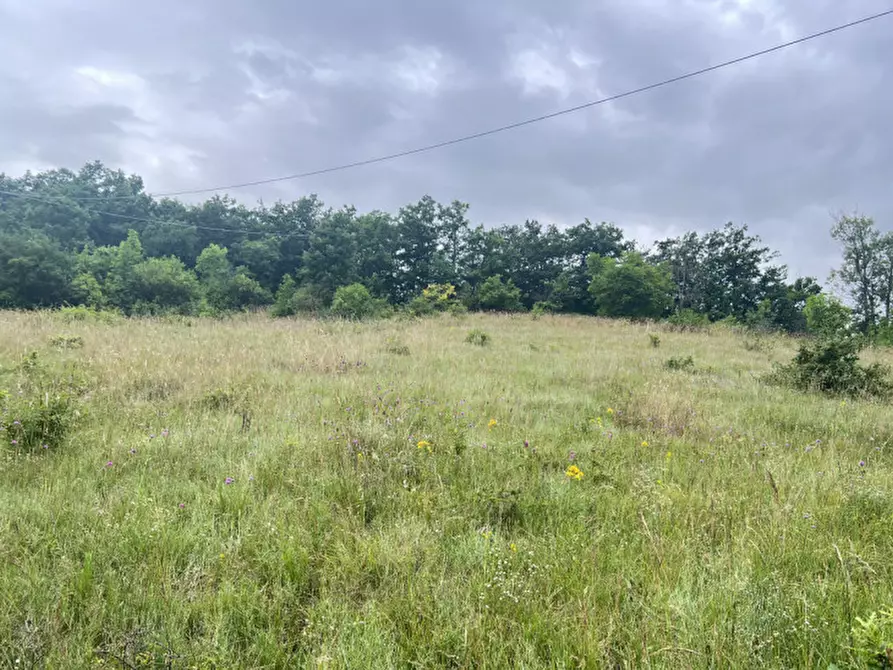 Immagine 23 di Rustico / casale in vendita  in Loc. Campello a Terenzo