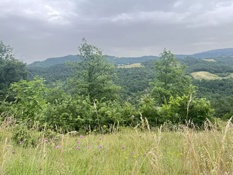 Immagine 24 di Rustico / casale in vendita  in Loc. Campello a Terenzo