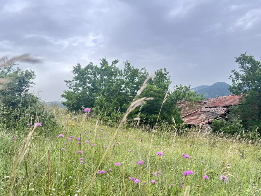 Immagine 25 di Rustico / casale in vendita  in Loc. Campello a Terenzo