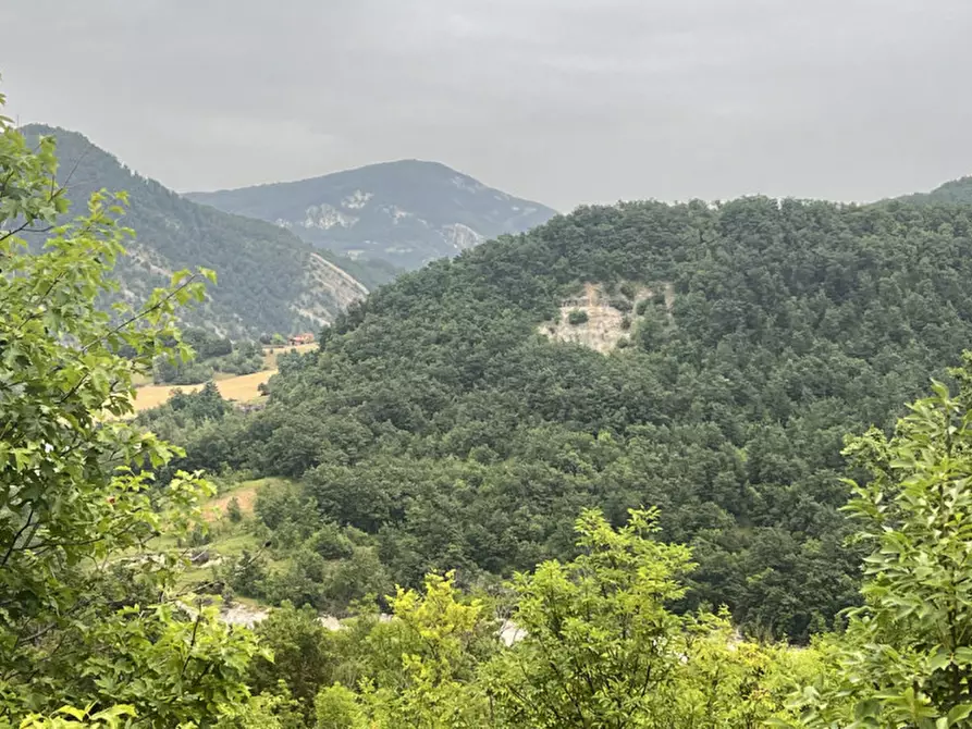 Immagine 28 di Rustico / casale in vendita  in Loc. Campello a Terenzo