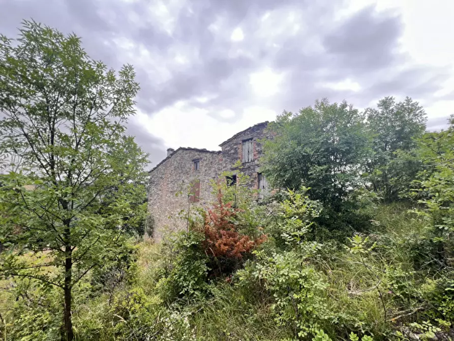 Immagine 30 di Rustico / casale in vendita  in Loc. Campello a Terenzo