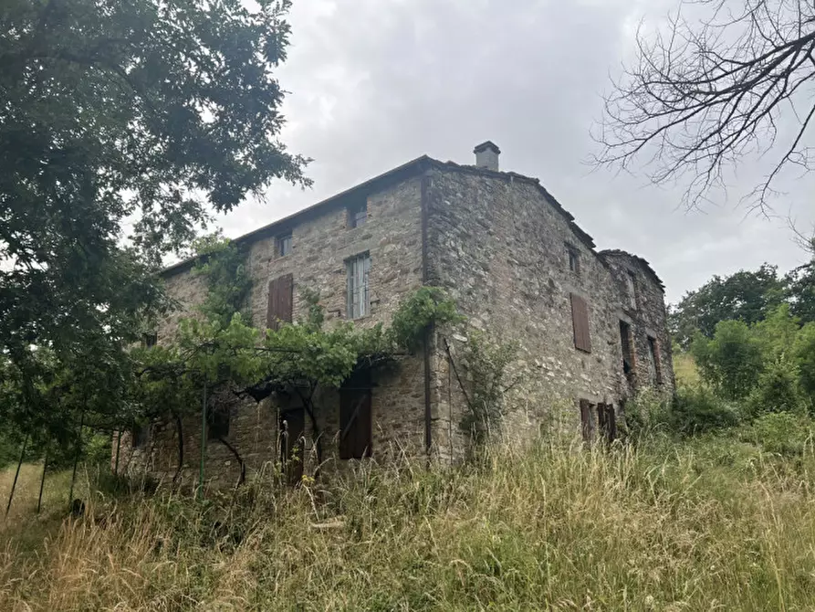 Immagine 32 di Rustico / casale in vendita  in Loc. Campello a Terenzo