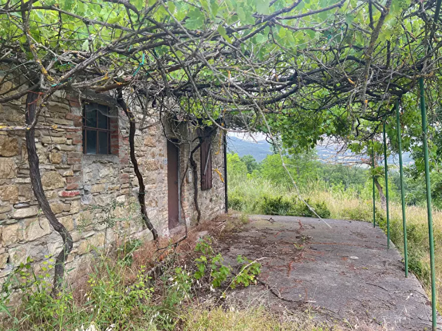 Immagine 35 di Rustico / casale in vendita  in Loc. Campello a Terenzo