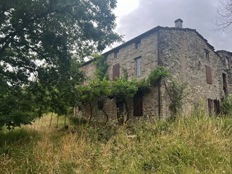 Immagine 36 di Rustico / casale in vendita  in Loc. Campello a Terenzo