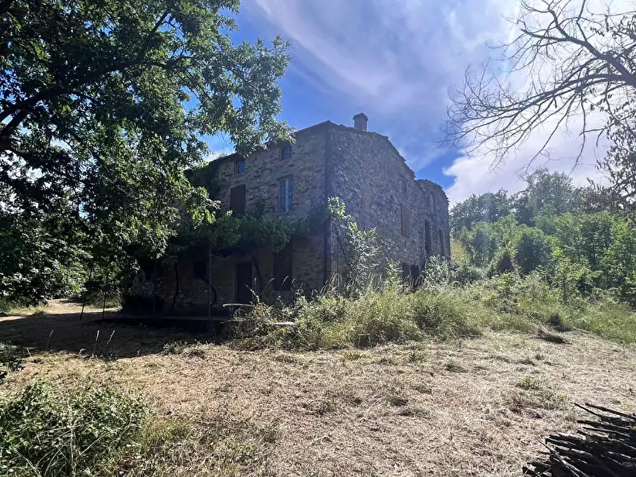 Immagine 41 di Rustico / casale in vendita  in Loc. Campello a Terenzo