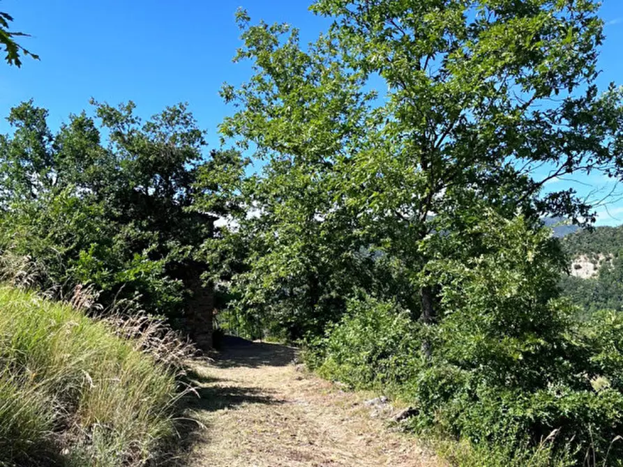Immagine 42 di Rustico / casale in vendita  in Loc. Campello a Terenzo
