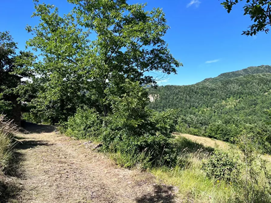 Immagine 43 di Rustico / casale in vendita  in Loc. Campello a Terenzo