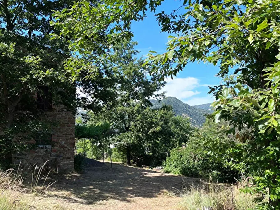 Immagine 44 di Rustico / casale in vendita  in Loc. Campello a Terenzo