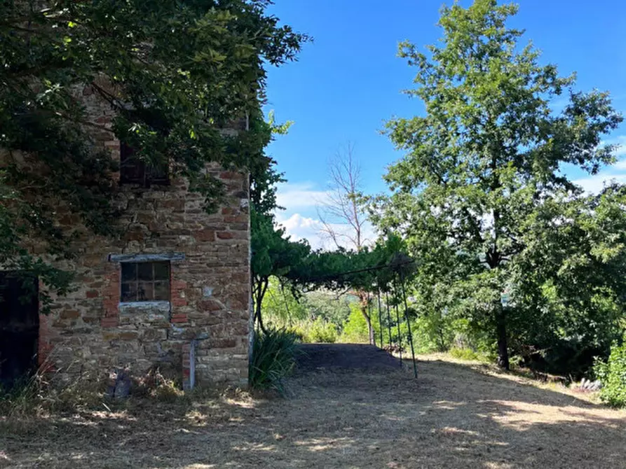 Immagine 45 di Rustico / casale in vendita  in Loc. Campello a Terenzo