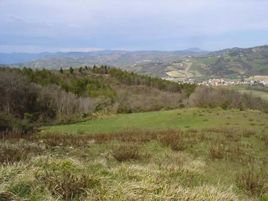 Immagine 1 di Rustico / casale in vendita  in Area collinare ex comune di Colbordolo - 61020 Vallefoglia (PU) a Vallefoglia