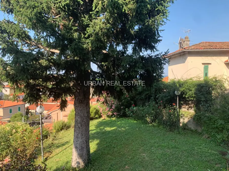 Immagine 8 di Villa in affitto  in Via della Mandria a Trieste