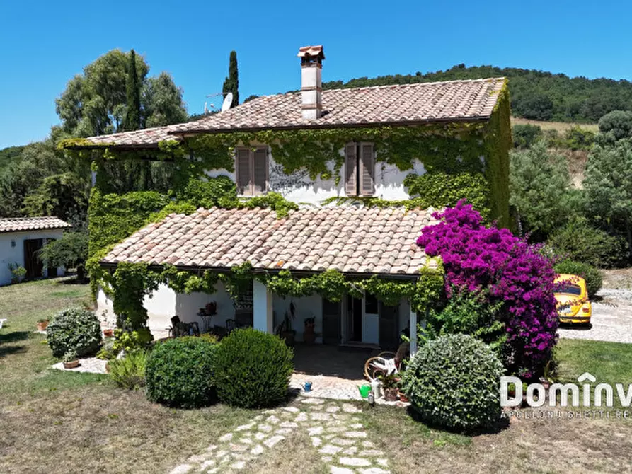 Immagine 2 di Rustico / casale in vendita  in Pescia Fiorentina a Capalbio