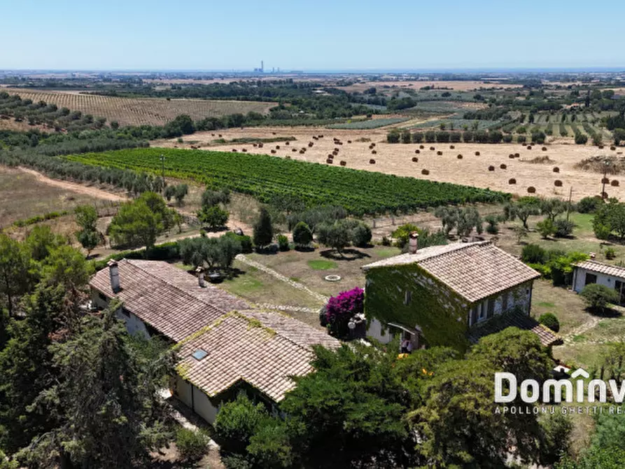 Immagine 3 di Rustico / casale in vendita  in Pescia Fiorentina a Capalbio