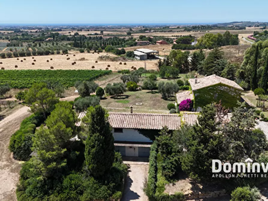 Immagine 4 di Rustico / casale in vendita  in Pescia Fiorentina a Capalbio