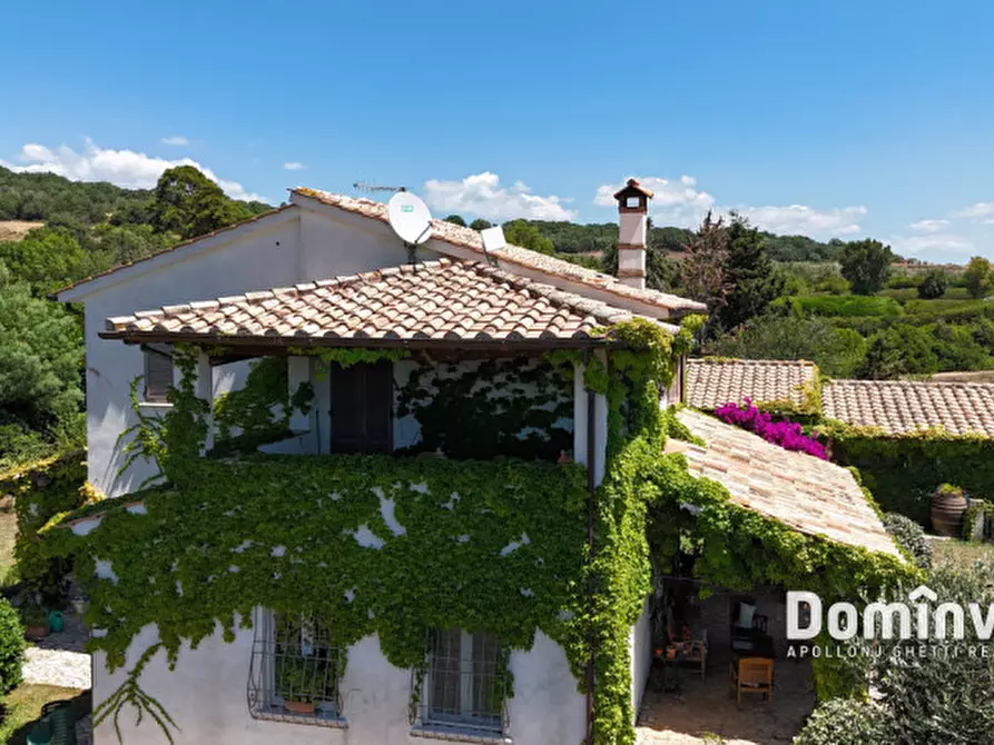 Immagine 5 di Rustico / casale in vendita  in Pescia Fiorentina a Capalbio