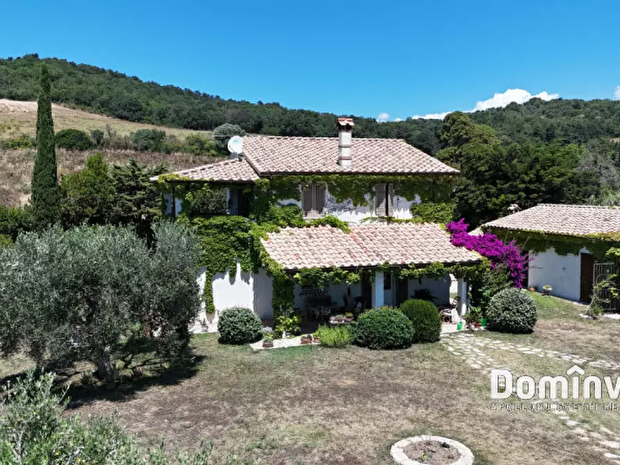 Immagine 6 di Rustico / casale in vendita  in Pescia Fiorentina a Capalbio