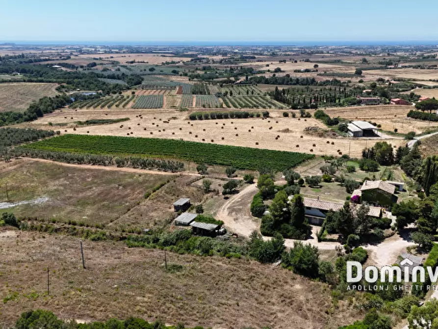 Immagine 7 di Rustico / casale in vendita  in Pescia Fiorentina a Capalbio