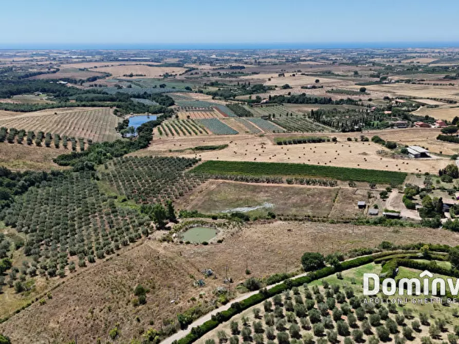 Immagine 8 di Rustico / casale in vendita  in Pescia Fiorentina a Capalbio