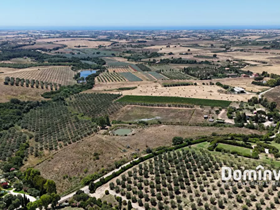 Immagine 9 di Rustico / casale in vendita  in Pescia Fiorentina a Capalbio