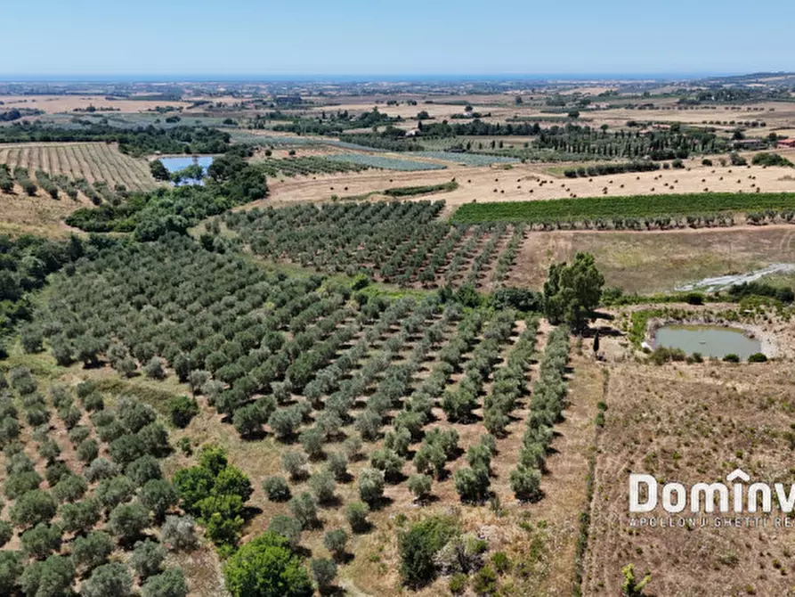 Immagine 10 di Rustico / casale in vendita  in Pescia Fiorentina a Capalbio