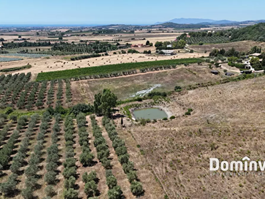 Immagine 11 di Rustico / casale in vendita  in Pescia Fiorentina a Capalbio