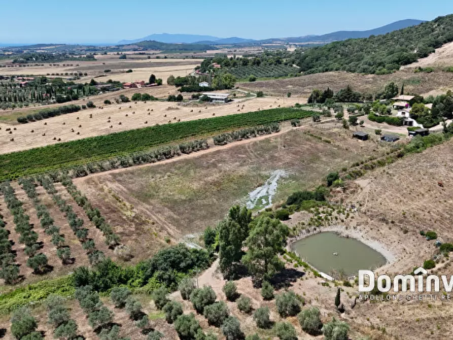 Immagine 13 di Rustico / casale in vendita  in Pescia Fiorentina a Capalbio