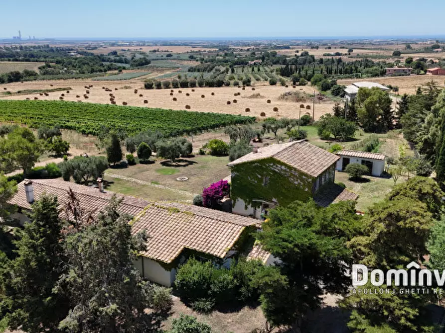 Immagine 16 di Rustico / casale in vendita  in Pescia Fiorentina a Capalbio