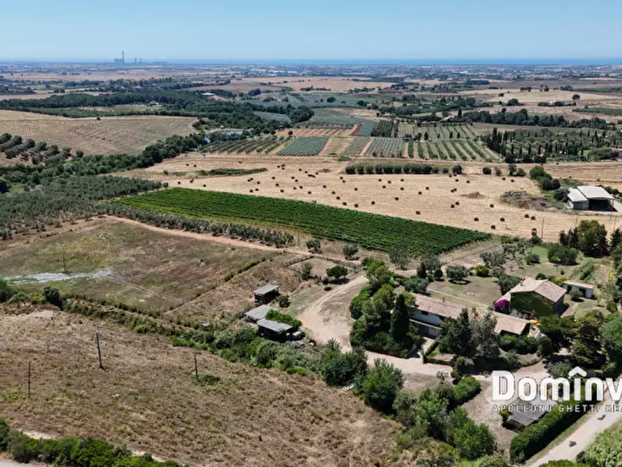 Immagine 17 di Rustico / casale in vendita  in Pescia Fiorentina a Capalbio