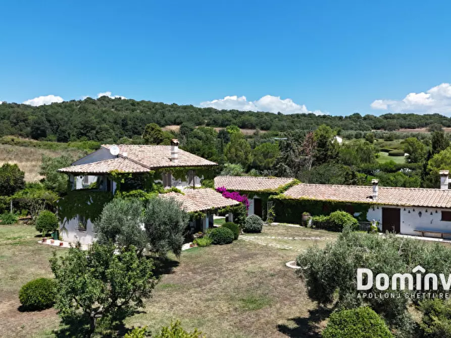 Immagine 18 di Rustico / casale in vendita  in Pescia Fiorentina a Capalbio