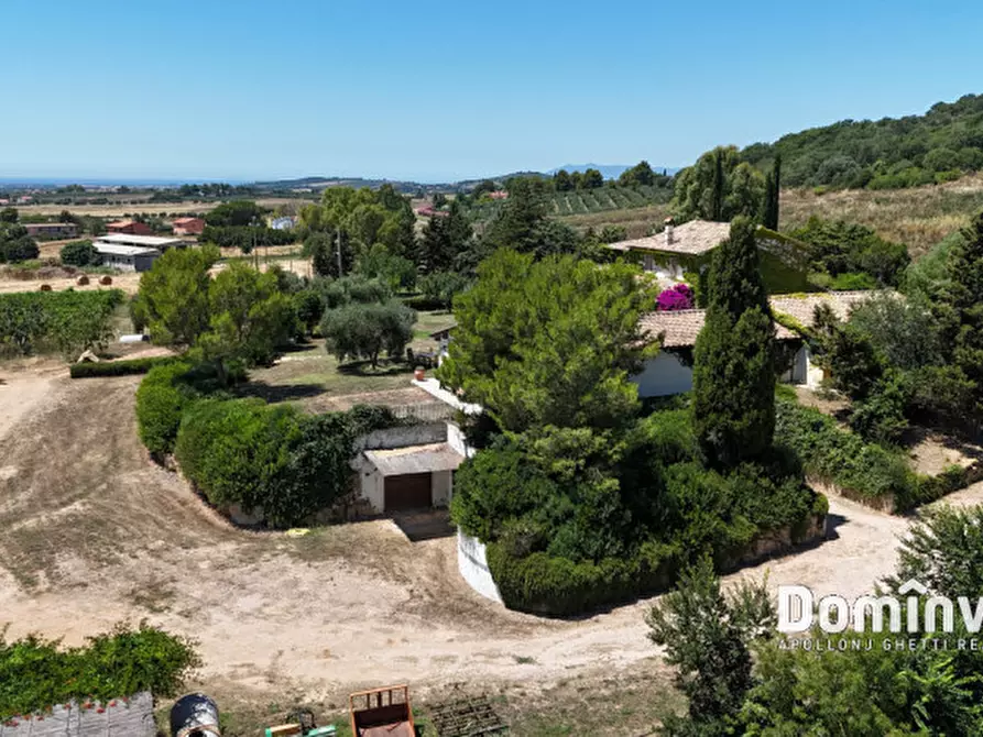Immagine 20 di Rustico / casale in vendita  in Pescia Fiorentina a Capalbio