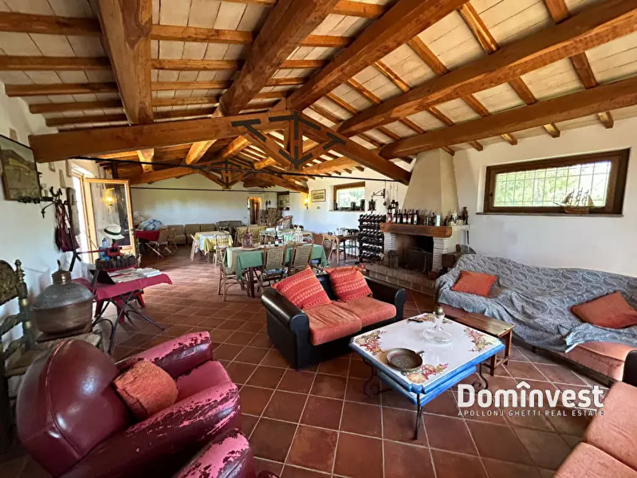 Immagine 23 di Rustico / casale in vendita  in Pescia Fiorentina a Capalbio