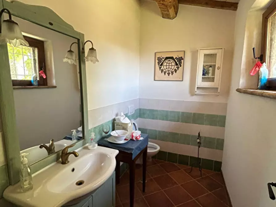 Immagine 24 di Rustico / casale in vendita  in Pescia Fiorentina a Capalbio