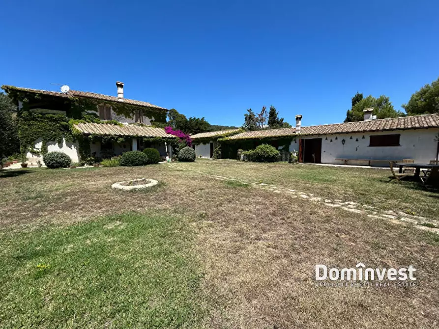 Immagine 26 di Rustico / casale in vendita  in Pescia Fiorentina a Capalbio