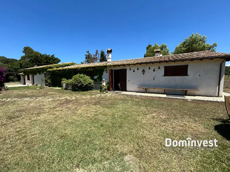 Immagine 27 di Rustico / casale in vendita  in Pescia Fiorentina a Capalbio