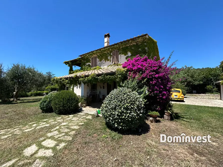 Immagine 28 di Rustico / casale in vendita  in Pescia Fiorentina a Capalbio