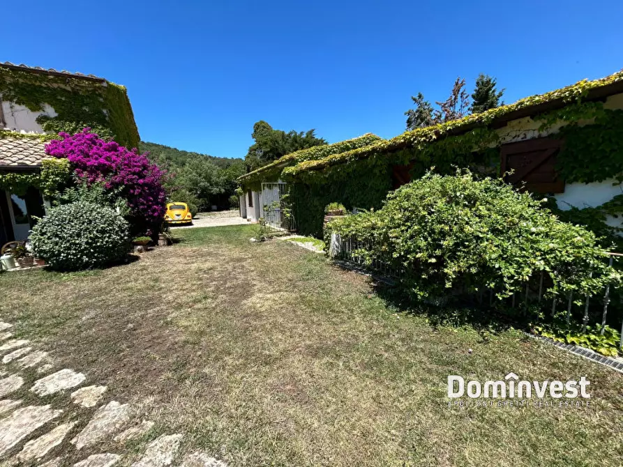 Immagine 30 di Rustico / casale in vendita  in Pescia Fiorentina a Capalbio