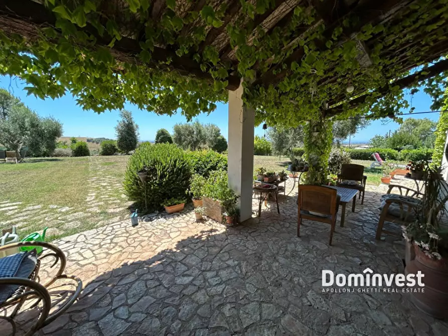 Immagine 31 di Rustico / casale in vendita  in Pescia Fiorentina a Capalbio