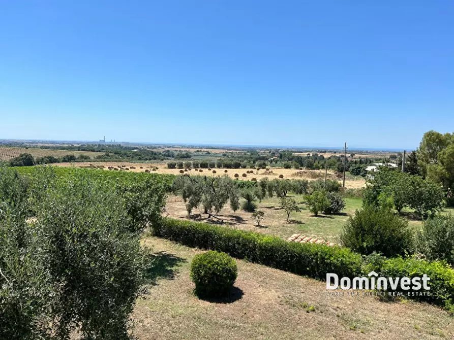 Immagine 32 di Rustico / casale in vendita  in Pescia Fiorentina a Capalbio